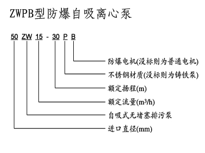 不銹鋼自吸泵,防爆自吸泵,排污自吸泵,ZX型自吸泵，ZW型自吸泵，無密封自控自吸泵，自吸泵圖片，自吸水泵，自吸泵廠家，自吸泵價格，上海自吸泵